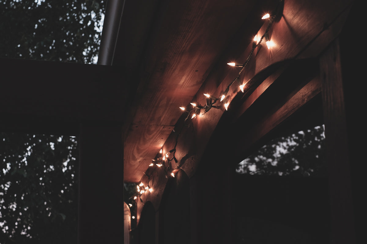 Pausing for Gratitude