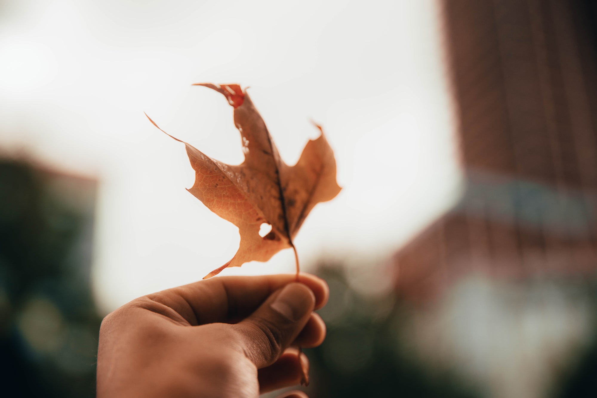 An Attitude of Gratitude for Presence