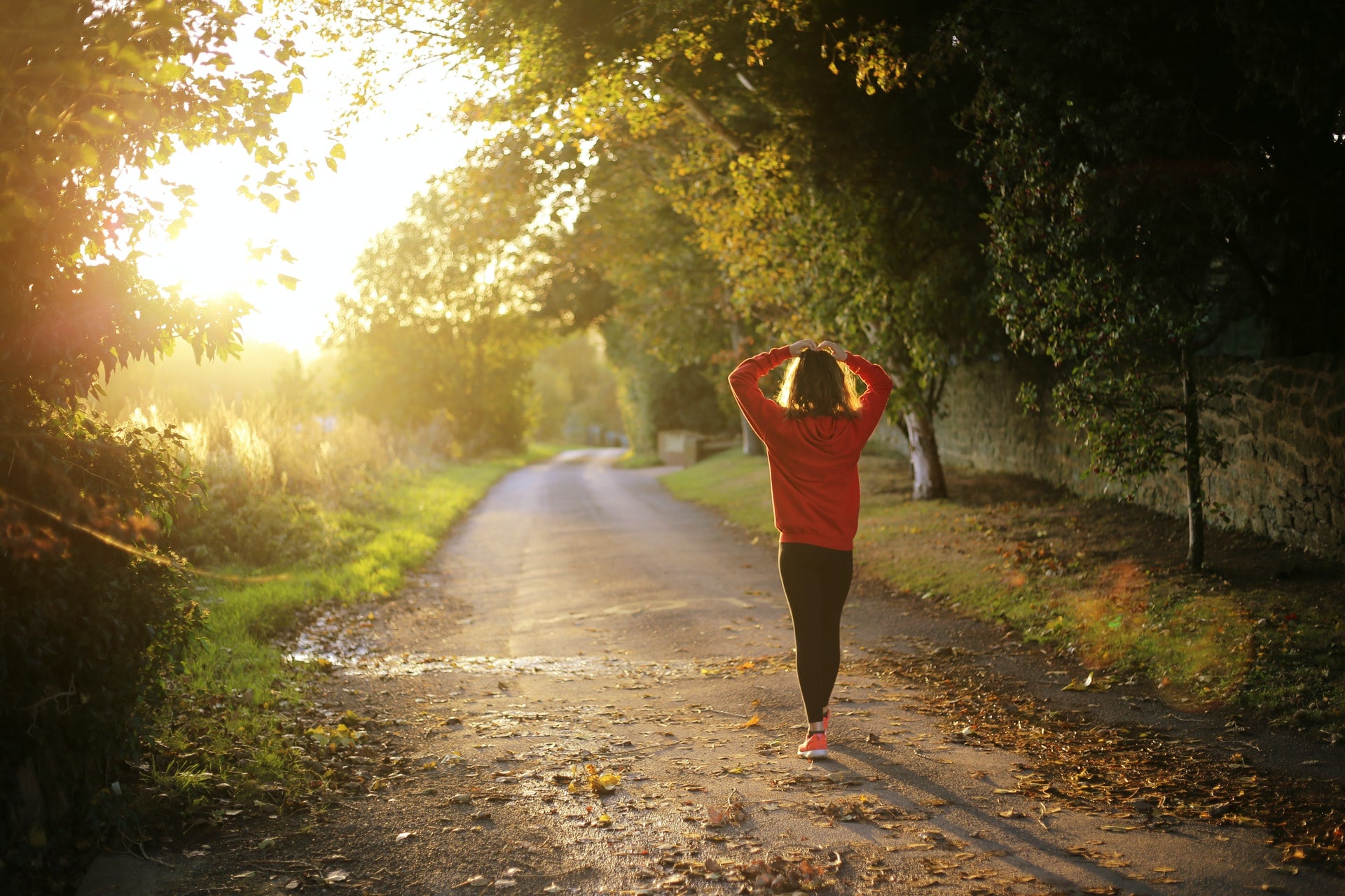 A holistic approach to Wellness.