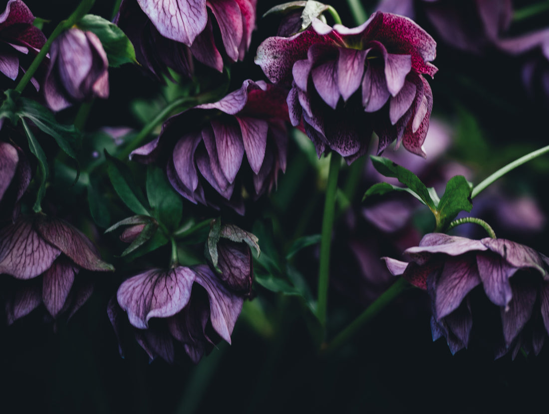 The Stories That Connect Us