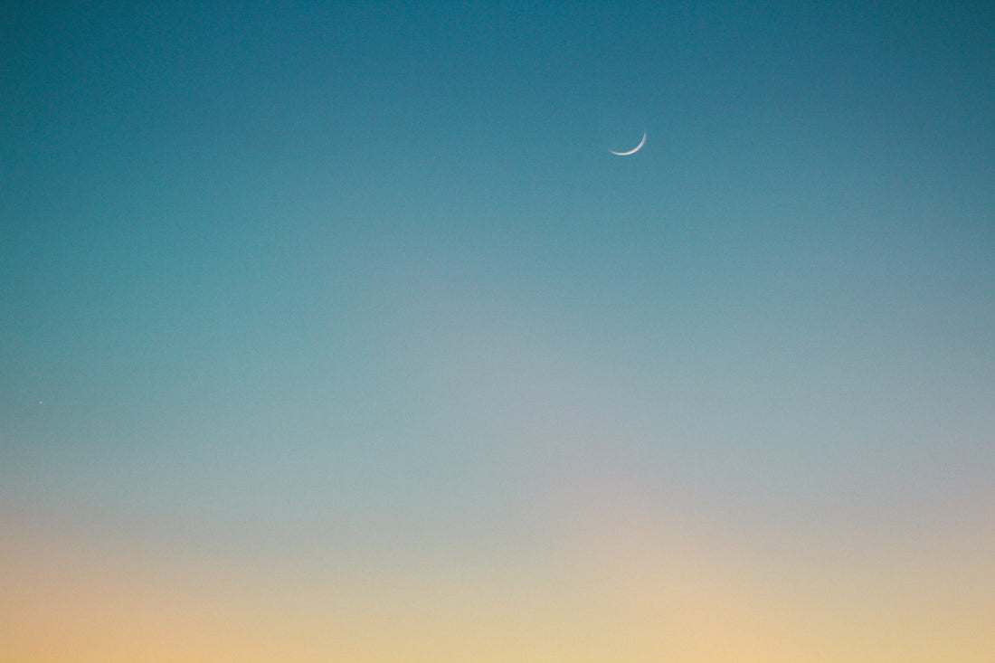 Unified In Our Suffering and Perseverance