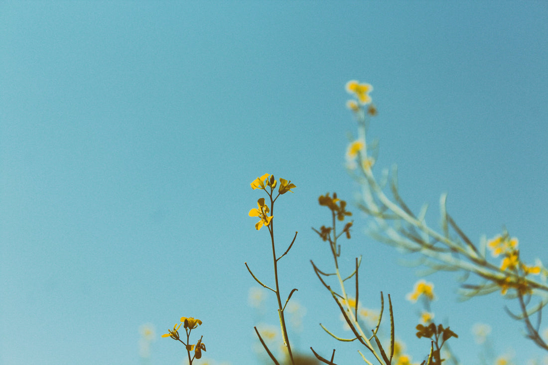 5 Things We Learned About Kinship this Month