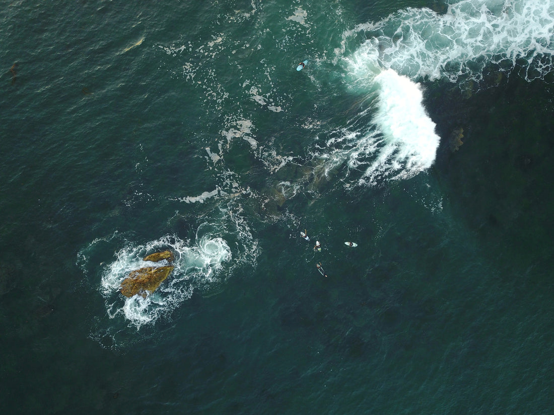 Finding Light, Finding Forgiveness