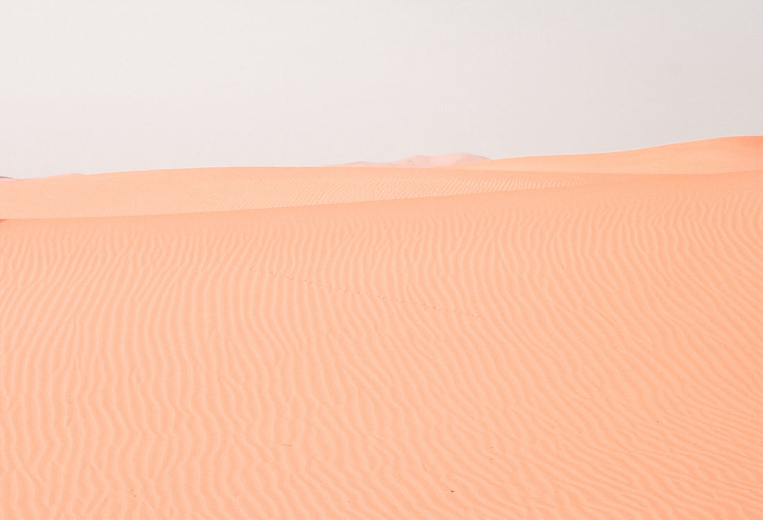 How to Find Your Passion? Start Where You Are