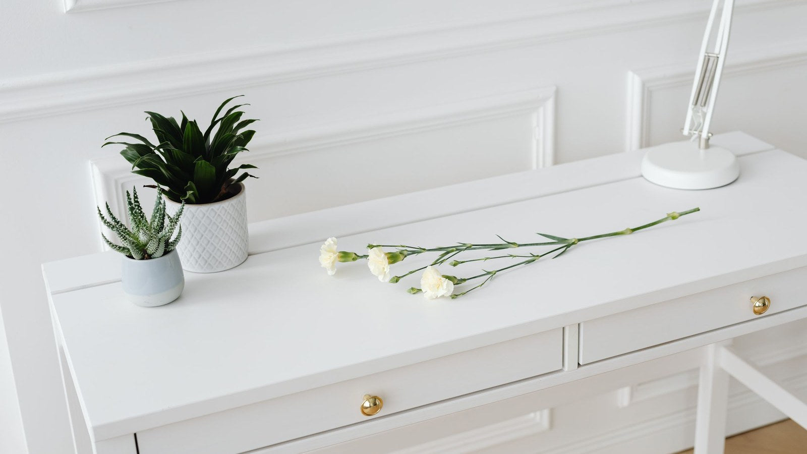 A clean, minimal white desk with a small plant and a single flower in natural light, illustrating simplicity.
