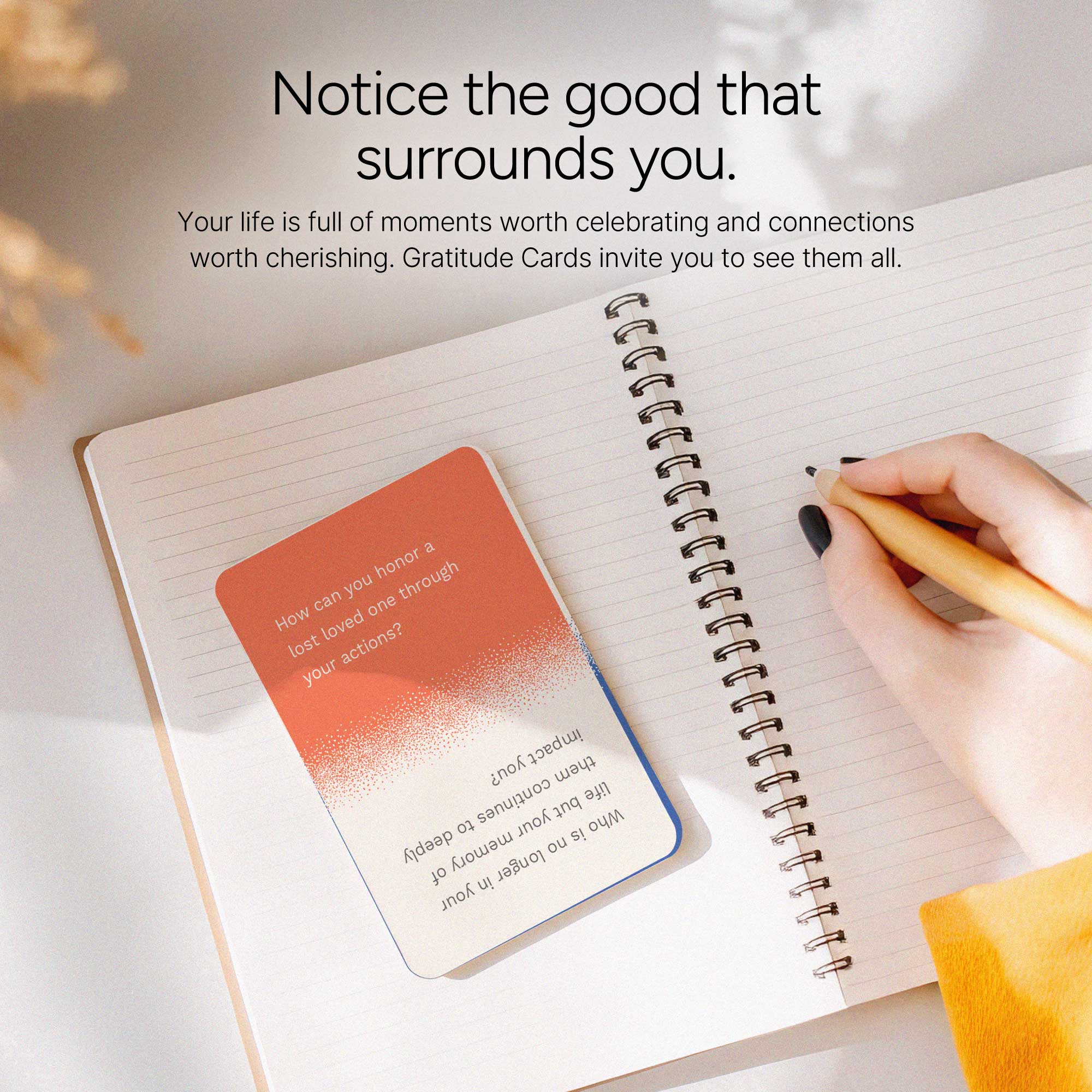 Card Bundle: Gratitude Cards (12-Deck)